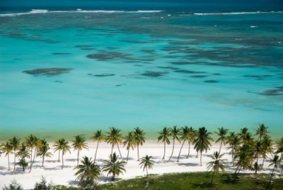 Strand mit Palmen, Punta Cana, Dom Rep